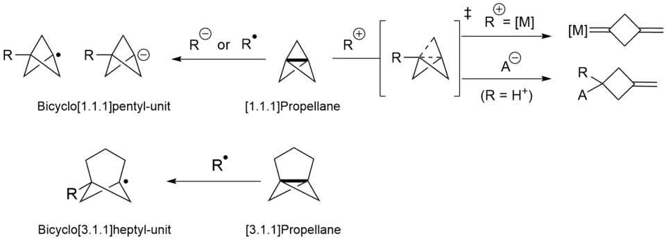 First line shows addition of radical and anions to [1.1.1]Propellane producing Bicyclo[1.1.1]pentane units. It also shows addition of Cations add to the bridgebond of [1.1.1]Propellane. The second line of the figure shows the general reactivity of [3.1.1]Propellane undergoing addition of radicals to produce bicyclo[3.1.1]heptyl-units (no cationic and anionic reactivity reported so far)