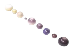 A collection of quahog pearls, ranging in color from white to purple.