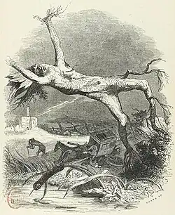 The Oak and the Reed, Vol. I, no. 22