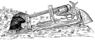 A drawing showing a mouse leaving its burrow and stepping onto Williams's gun-loaded invention.