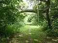 A naturepath on an abandoned railway track
