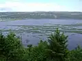 The lower end of the Hampton Marsh looking across to Darlings Island.
