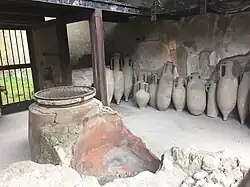 Ceramics recovered and on display