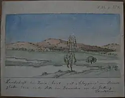 Puria Creek: claypans, Santalum