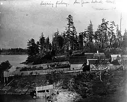 Herring fishery, Waldron Island, ca 1895
