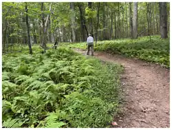 Hiker walking the Upper Sweet Run Trail