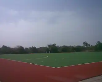 synthetic turf in Anna stadium
