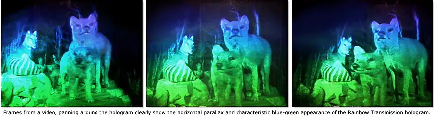 A three image college with a text stating "Frames from a video, panning around the hologram clearly show the horizontal parallax and characteristic blue-green appearance of the Rainbow Transmission hologram."