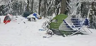 Homeless tents in the snow in Woodland Park, Seattle.