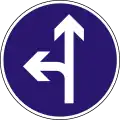 D-004 Proceed straight or turn left