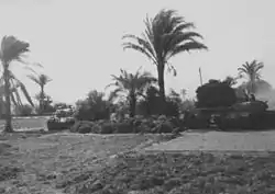 Tanks in a grove of palm trees