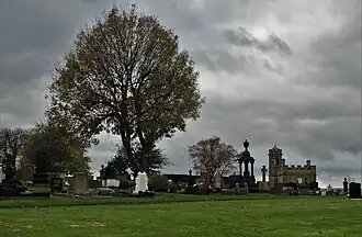 Picture gravestones and tree in City Road Cemetery