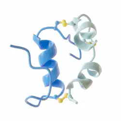 Insulin monomer model