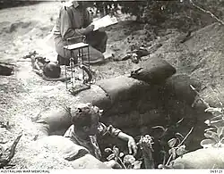 Legge & Lucas checking on goats to be used in mustard gas experiments, North Brook Island, 1944