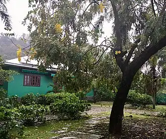 House viewed from the garden