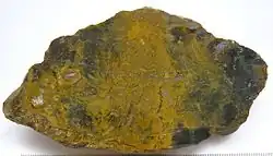 Brecciated yellow-and-green jasper, cut and polished, Kara Dag, Crimea