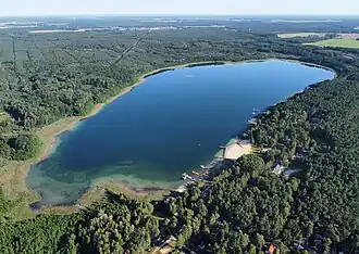 A body of water surrounded by greenery.