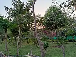 Kadri Park in Mangaluru - 4