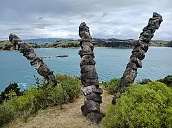 Kaitiaki (Guardian of the island). A sculpture by Chris Booth installed in April 2011.