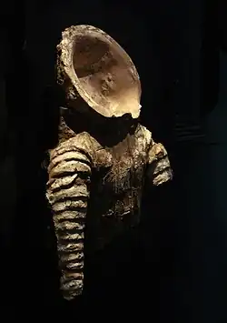 Model of a Saka cataphract armour with neck-guard, from Khalchayan. 1st century BCE. Museum of Arts of Uzbekistan, nb 40.[53]