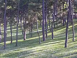Section of Little Kalemegdan between Cvijeta Zuzorić Art Pavilion and Belgrade Zoo