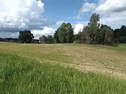 Large open field with trees in the distance and clear, blue sky.