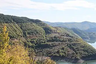 Forested slopes above the reservoir