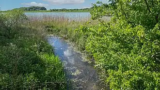 The Kielstau entering the Winderatter See