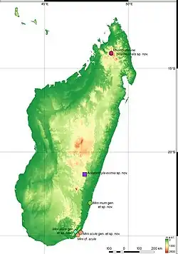 Map of Madagascar, with green circle in the bottom right showing Mini mum's range