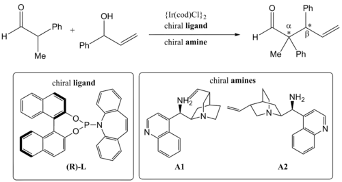 Dual catalysis developed by Krautwald et al.