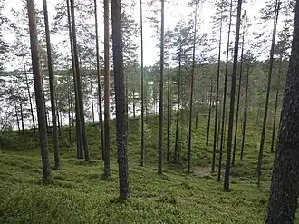 Protected forest and eskers.