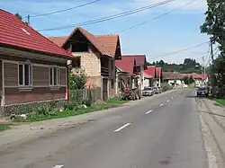 Street in Șinca Nouă