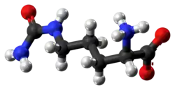 Ball and stick model of zwitterionic citrulline