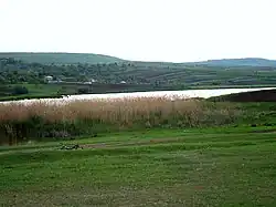 The picture depicts the rural landscape around the village of Crăsnășeni in Moldova. One can see a body of water (presumably a lake) with reeds. In the background there are rolling hills with agricultural fields and some houses.