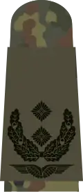Oberstleutnant (flecktarn)