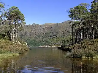 Amongst the islands of Loch Maree.