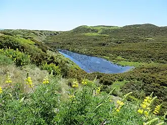 Lake Waitamoumou