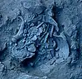Burial 6. Excavation at exposition 11.