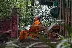 Buddhist Monk in Leshan