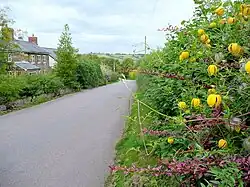 On a roadside in Britain