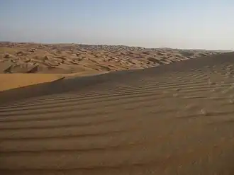 Liwa desert