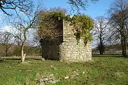 Ruins of Lochcote Tower