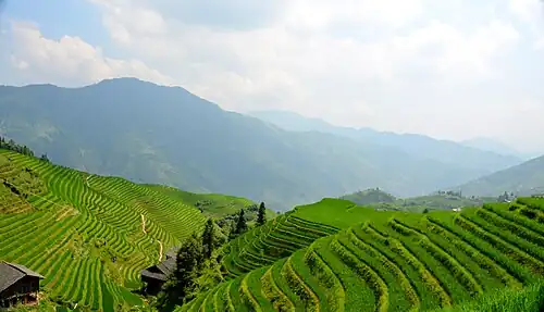 Longji terraces