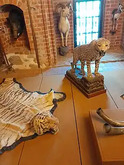 Hunted taxidermed animals, exhibited inside castle