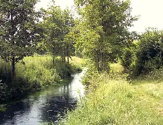 The river Lys