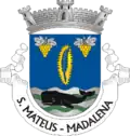 Coat of arms of São Mateus