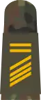 Stabsgefreiter BA (Navy able seaman boatswain aspirant, field uniform mounting strap. note the small stripes)