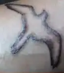 Tattoo Maddy Scott got on her inside left wrist the month before her disappearance.