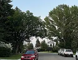 Residential Street in Malmo Plains