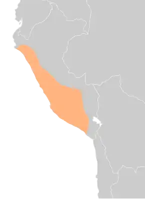 Expansion and area of influence of the Wari Empire around 800 AD